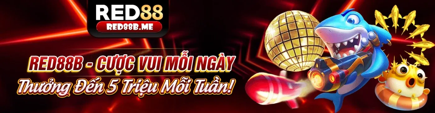 Liên hệ bộ phận hỗ trợ khách hàng C8BET